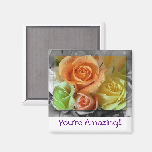 カラフルバラ – 磁石 (正面/裏面)