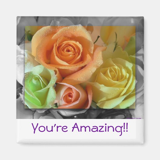 カラフルバラ – 磁石 (正面)