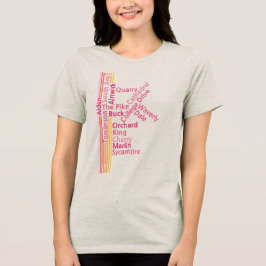 カラフルパインラン公園Tシャツ トライブレンドTシャツ