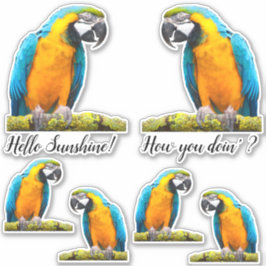 カラフルパロットオンリチェンブランチカスタム シール