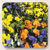 カラフルパン コースター (正面)