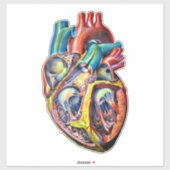カラフルヒトハート解剖学抽象芸術 シール (シート)