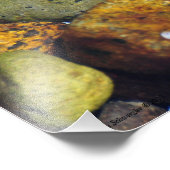 カラフルビーチ岩と貝殻 フォトプリント            (角)