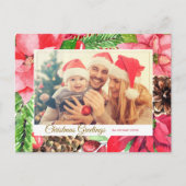 カラフルピンクポインセチアとパイン写真 シーズンポストカード (正面)
