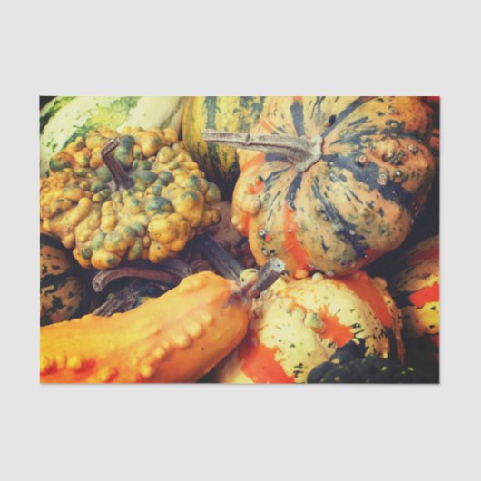 カラフルファンシーGourds Close Up Decompage 薄葉紙 (正面)