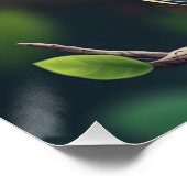 カラフルファンタジー ポスター (コーナー)