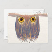 カラフルフクロウ絵画の ポストカード (正面/裏面)