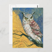 カラフルフクロウ ポストカード (正面/裏面)