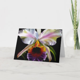 カラフルフローラグリーティングカード カード