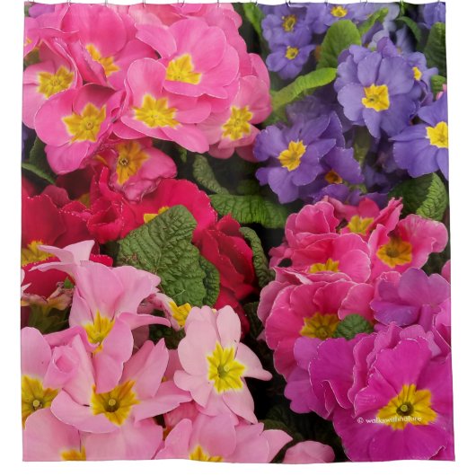 カラフルフローラピンク青パープルプリムラ花 シャワーカーテン (正面)