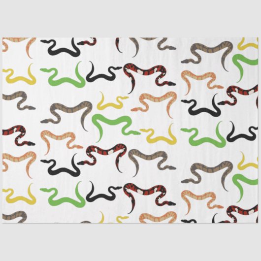 カラフルヘビPython爬虫類パターン 薄葉紙 (正面)