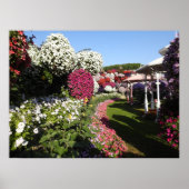 カラフルペチュニアのポスター ポスター (正面)