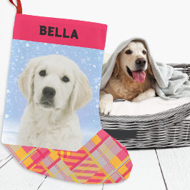 カラフルボーダー 愛犬の写真 名前 ペット愛好家 スモールクリスマスストッキング