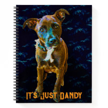 カラフルポップアートの犬の肖像画 - "It's Just Dandy"