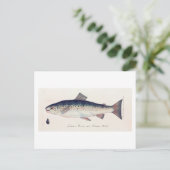 カラフルヴィンテージイラストレーションカード ポストカード (スタンド正面)