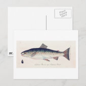 カラフルヴィンテージイラストレーションカード ポストカード (正面/裏面)