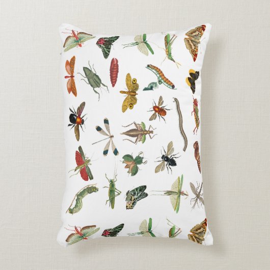 カラフルヴィンテージイラストレーション模様 アクセントクッション (正面(垂直))