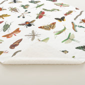 カラフルヴィンテージイラストレーション模様 シェルパブランケット (3/4)