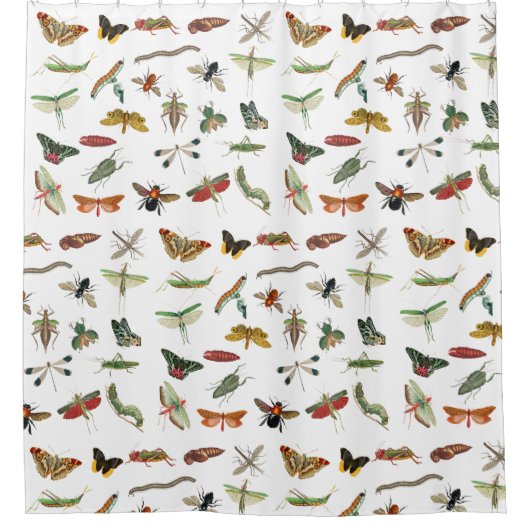 カラフルヴィンテージイラストレーション模様 シャワーカーテン (正面)