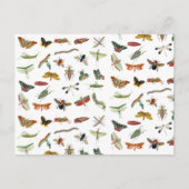 カラフルヴィンテージイラストレーション模様 シーズンポストカード (正面)