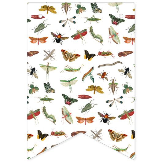 カラフルヴィンテージイラストレーション模様 バンティングフラッグ (第2の旗)