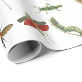 カラフルヴィンテージイラストレーション模様 ラッピングペーパー (ロールコーナー)