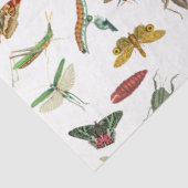 カラフルヴィンテージイラストレーション模様 薄葉紙 (詳細)