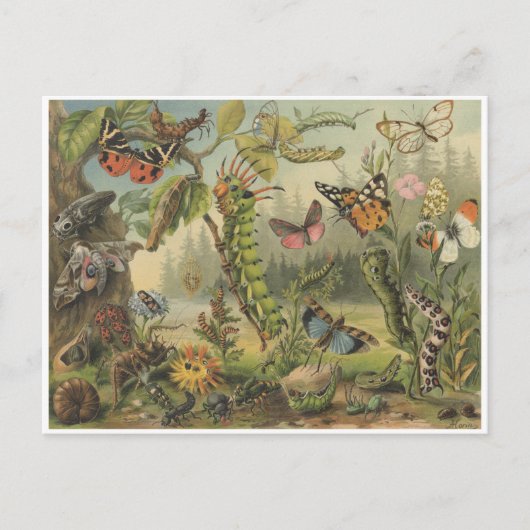 カラフルヴィンテージイラストレーション ポストカード (正面)