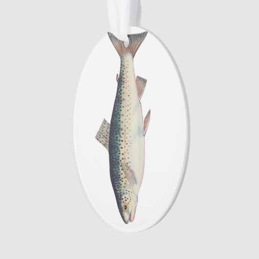 カラフルヴィンテージサケイラストレーション オーナメント (正面)