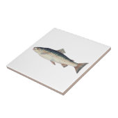 カラフルヴィンテージサケイラストレーション タイル (側面)