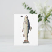 カラフルヴィンテージサケイラストレーション ポストカード (スタンド正面)