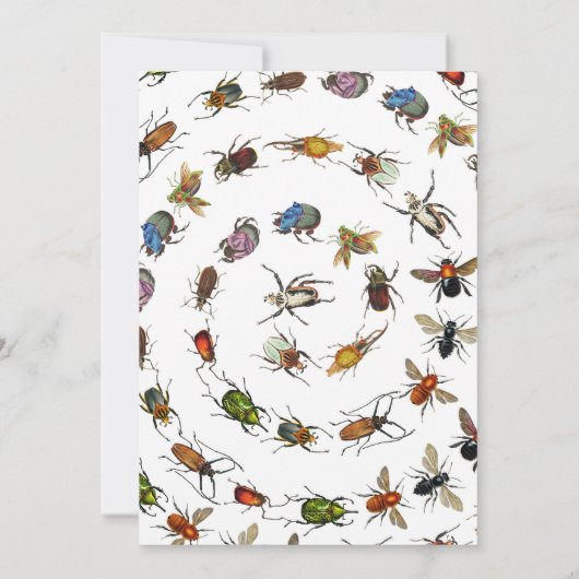カラフルヴィンテージバグとカブトムシのパターン サンキューカード (裏面)