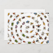 カラフルヴィンテージバグとカブトムシのパターン シーズンポストカード (正面/裏面)