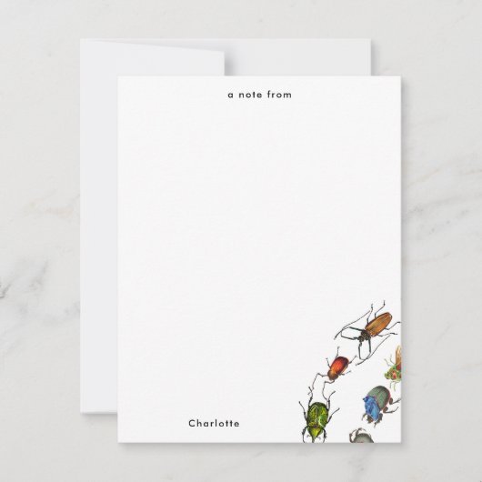 カラフルヴィンテージバグとカブトムシのパターン ノートカード (正面)