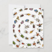 カラフルヴィンテージバグとカブトムシのパターン ノートカード (裏面)
