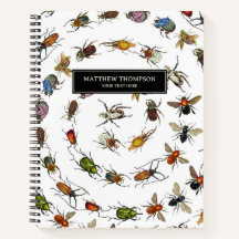 カラフルヴィンテージバグとカブトムシのパターン