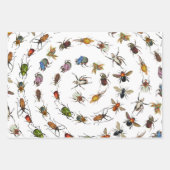 カラフルヴィンテージバグとカブトムシのパターン ラッピングペーパーシート (正面)