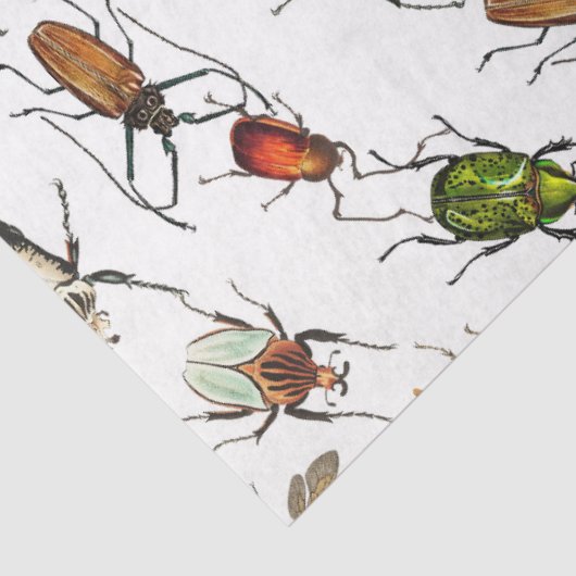 カラフルヴィンテージバグとカブトムシのパターン 薄葉紙 (詳細)