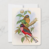 カラフルヴィンテージバードイラストレーションAny大事な行事 ノートカード (正面)
