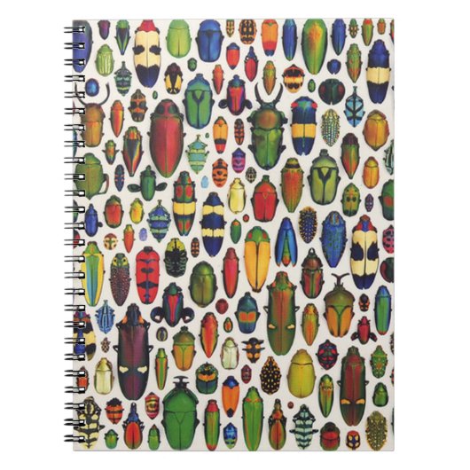 カラフルヴィンテージ図解入りの、写真付きの甲虫 ノートブック (正面)