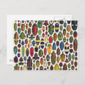 カラフルヴィンテージ図解入りの、写真付きの甲虫 ポストカード (正面/裏面)