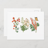 カラフルヴィンテージ夏の花 ポストカード (正面/裏面)