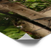 カラフルヴィンテージ建物 – ベトナム語、古代， ポスター (角)