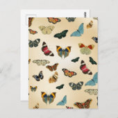カラフルヴィンテージ蝶イラストレーションパターン ポストカード (正面/裏面)