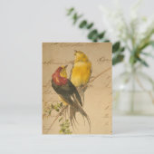 カラフルヴィンテージ鳥のヴィンテージ元帳紙 ポストカード (スタンド正面)