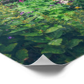 カラフル園のある田舎の家 ポスター (角)