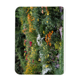 カラフル夏の中庭！ マグネット