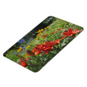 カラフル夏の中庭！ マグネット (左側)