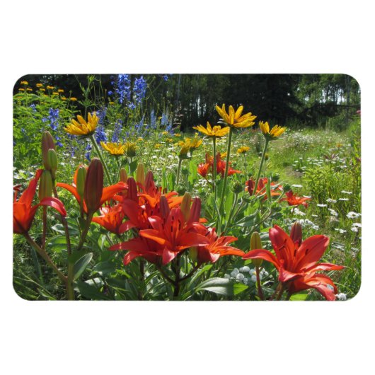 カラフル夏の中庭！ マグネット (横)