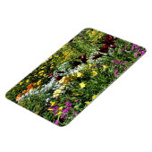 カラフル夏の中庭！ マグネット (左側)